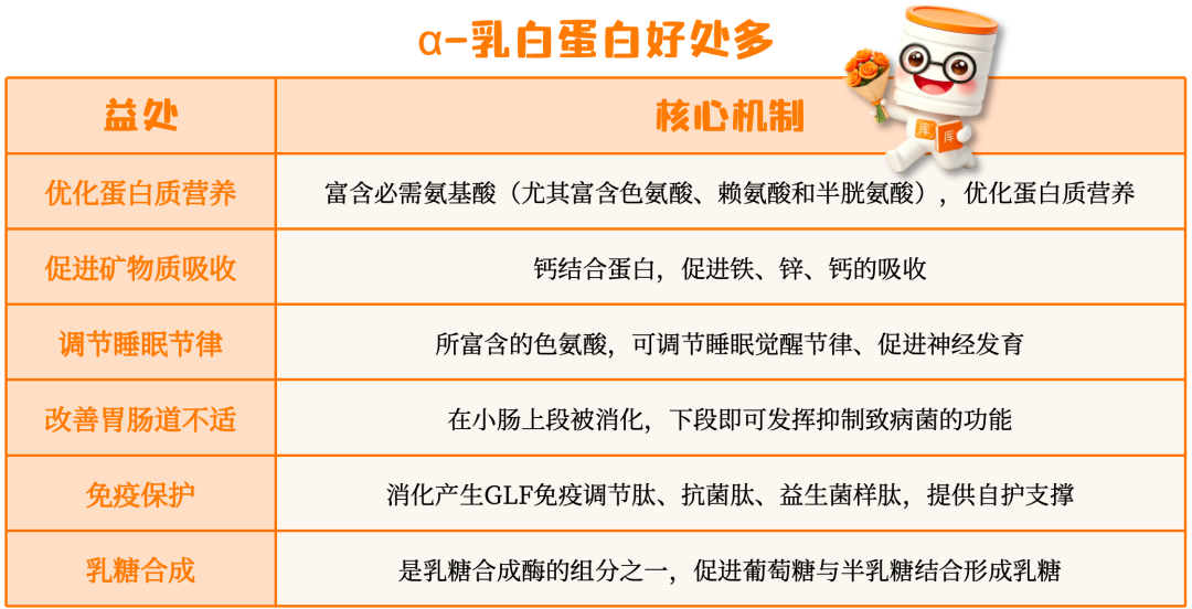 α乳白蛋白对宝宝有什么好处