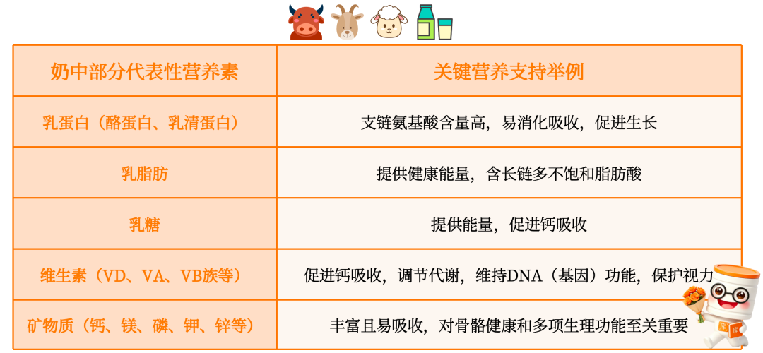 奶中代表性营养素及其作用