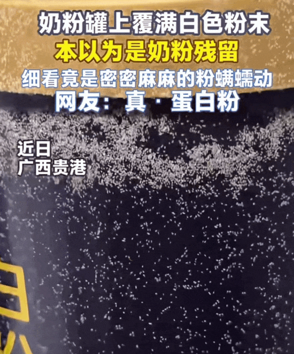 奶粉罐上爬满粉螨的新闻实拍画面