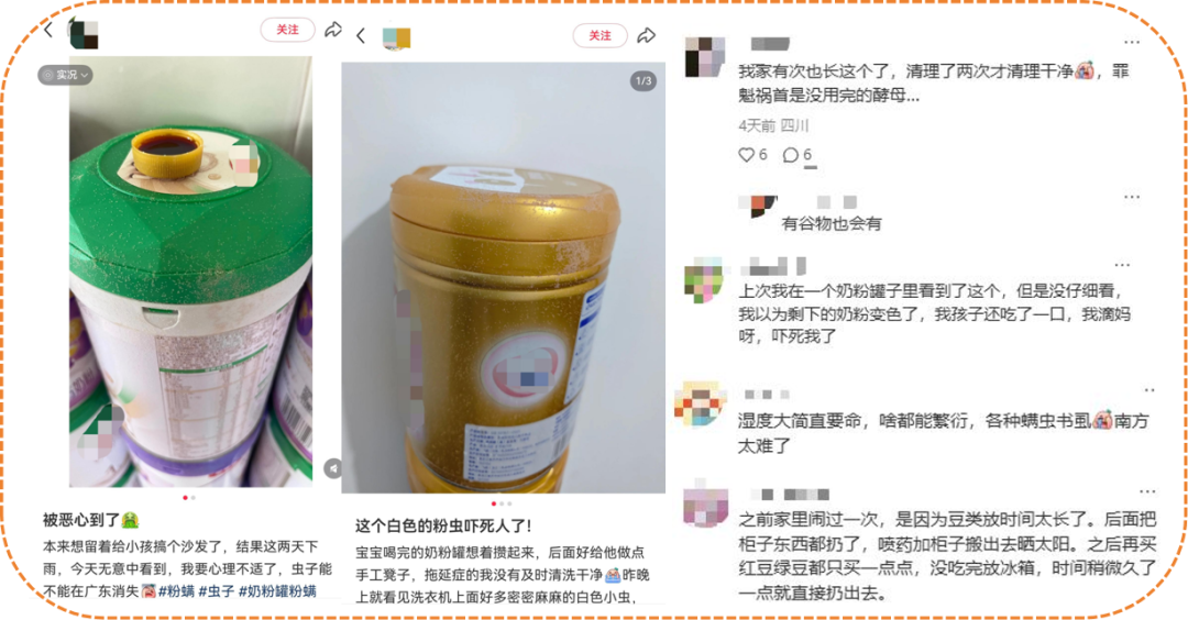 网友实拍粉螨与处理经验讨论